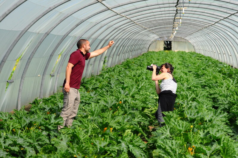 Une jeune femme photographe qui capture un homme souriant dans une serre agricole
