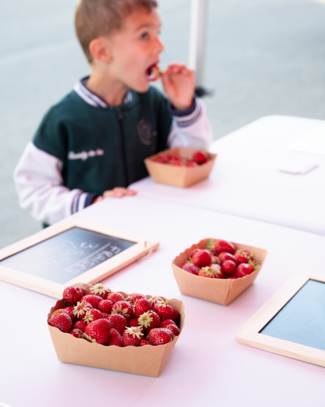 fraises 2