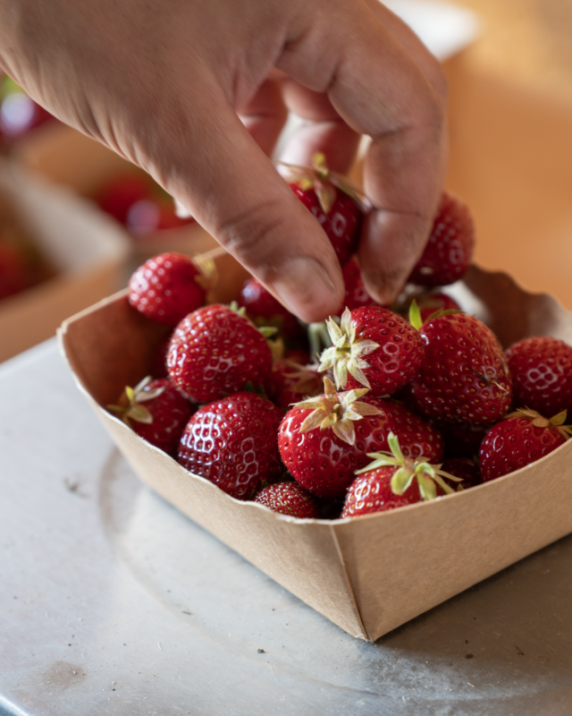 fraises
